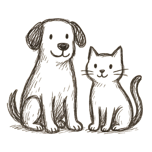 Dog And Cat